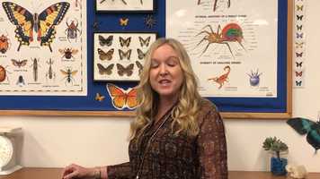 Free download Johna Bogue, Science Teacher video and edit with RedcoolMedia movie maker MovieStudio video editor online and AudioStudio audio editor onlin