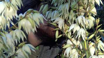 Free download John Bence - Love album trailer video and edit with RedcoolMedia movie maker MovieStudio video editor online and AudioStudio audio editor onlin