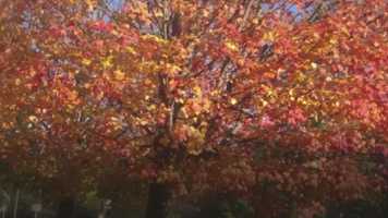 Free download John Padovano - Coffeehouse Performance - January 5th 2020 my song is no longer sung video and edit with RedcoolMedia movie maker MovieStudio video editor online and AudioStudio audio editor onlin