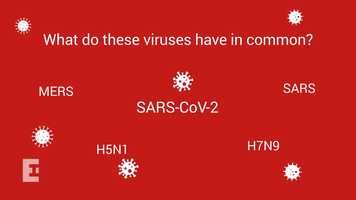 Free download Joining the dots to tackle COVID-19: a bioinformatics approach video and edit with RedcoolMedia movie maker MovieStudio video editor online and AudioStudio audio editor onlin