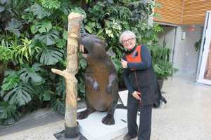 Free download Join the Plant Ecology Adventure at York University: BIOL 3290 4.0 video and edit with RedcoolMedia movie maker MovieStudio video editor online and AudioStudio audio editor onlin