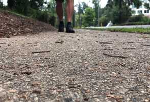 Free download Jokes, Quotes, and Haikus Exercise 2 video and edit with RedcoolMedia movie maker MovieStudio video editor online and AudioStudio audio editor onlin