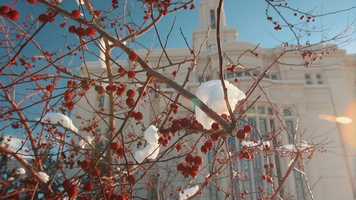 Free download Journey and Matthew Wahlquist Wedding December 28, 2018 video and edit with RedcoolMedia movie maker MovieStudio video editor online and AudioStudio audio editor onlin