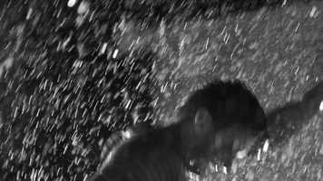 Free download JOY DIVISION video and edit with RedcoolMedia movie maker MovieStudio video editor online and AudioStudio audio editor onlin