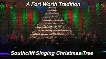 Free download Joy featuring the Singing Christmas Tree 2019 video and edit with RedcoolMedia movie maker MovieStudio video editor online and AudioStudio audio editor onlin