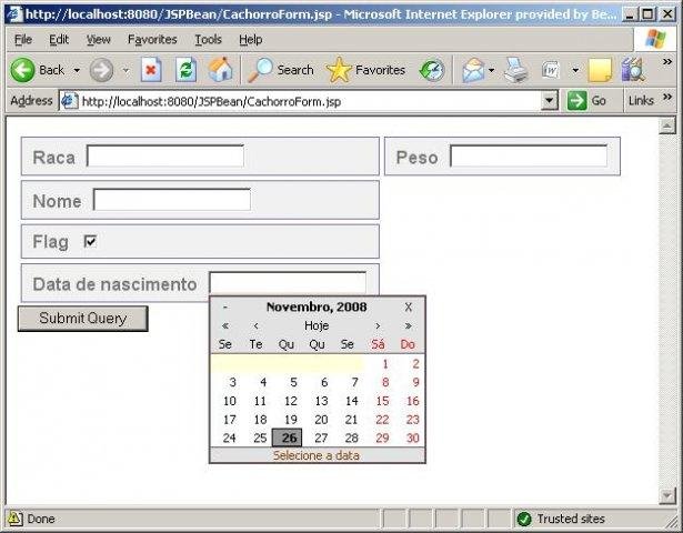 Download web tool or web app JSPBean