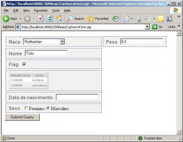 Download web tool or web app JSPBean