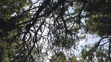 Free download Juan  Carna -  Wedding video De haven Oost -  Coming Soon! video and edit with RedcoolMedia movie maker MovieStudio video editor online and AudioStudio audio editor onlin