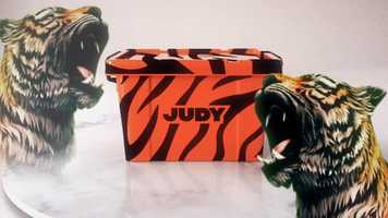 Free download JUDY - Tiger King video and edit with RedcoolMedia movie maker MovieStudio video editor online and AudioStudio audio editor onlin