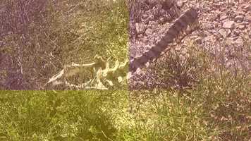 Free download Juice of the Earth-DJ Irituart ft.Vaclav Navrat video and edit with RedcoolMedia movie maker MovieStudio video editor online and AudioStudio audio editor onlin