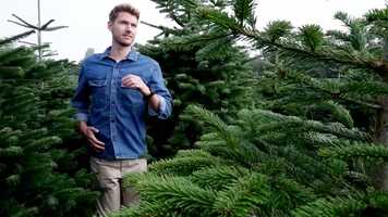 Free download Juletr.dk Projekt..mp4 video and edit with RedcoolMedia movie maker MovieStudio video editor online and AudioStudio audio editor onlin