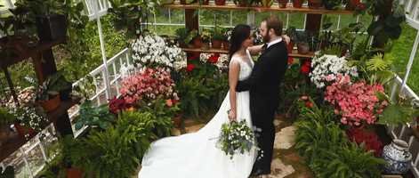 Free download Julia  Mitchell | Vaughan House Greenhouse | Wedding Day Mini-Highlight video and edit with RedcoolMedia movie maker MovieStudio video editor online and AudioStudio audio editor onlin