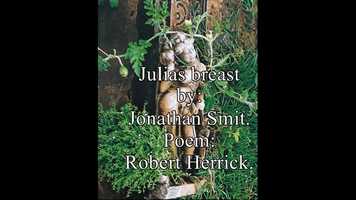 Free download Julias Breast. Jonathan Smit video and edit with RedcoolMedia movie maker MovieStudio video editor online and AudioStudio audio editor onlin