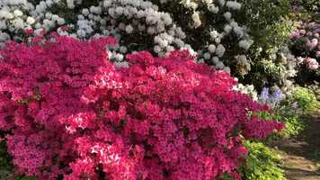 Free download July 19 Worship video and edit with RedcoolMedia movie maker MovieStudio video editor online and AudioStudio audio editor onlin