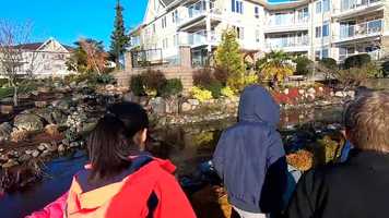 Free download Jungle Gym to Rocking Chair - Surrey Christian School students visit on Febuary 18, 2020 video and edit with RedcoolMedia movie maker MovieStudio video editor online and AudioStudio audio editor onlin