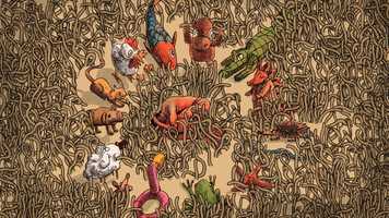 Free download Jungle video and edit with RedcoolMedia movie maker MovieStudio video editor online and AudioStudio audio editor onlin