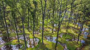 Free download Junya Ishigami Interview: Creating Nature with Time video and edit with RedcoolMedia movie maker MovieStudio video editor online and AudioStudio audio editor onlin