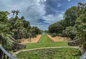 Free download Jurassic Garden-Fairchild Tropical Gardens July 2021 video and edit with RedcoolMedia movie maker MovieStudio video editor online and AudioStudio audio editor onlin