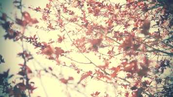 Free download Just For Fun (J.F.F) Location Trailer Video video and edit with RedcoolMedia movie maker MovieStudio video editor online and AudioStudio audio editor onlin