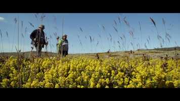 Free download Just_Like_a_Painting_by_Eggert_Petursson_Trailer_1_20_ENGLISH video and edit with RedcoolMedia movie maker MovieStudio video editor online and AudioStudio audio editor onlin