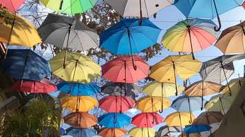 Free download Just Some Words video and edit with RedcoolMedia movie maker MovieStudio video editor online and AudioStudio audio editor onlin