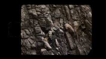 Free download Kaitiaki Trailer Final.mp4 video and edit with RedcoolMedia movie maker MovieStudio video editor online and AudioStudio audio editor onlin