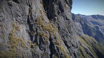 Free download Kakapo Crest : An expedition to the Tusk video and edit with RedcoolMedia movie maker MovieStudio video editor online and AudioStudio audio editor onlin