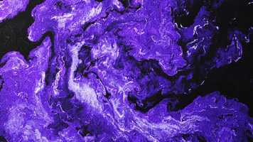 Free download KAMINSKYI Brand Film video and edit with RedcoolMedia movie maker MovieStudio video editor online and AudioStudio audio editor onlin