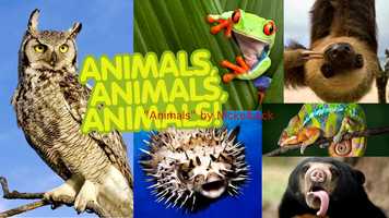 Free download Kanaan Music Bio video and edit with RedcoolMedia movie maker MovieStudio video editor online and AudioStudio audio editor onlin