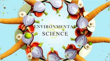 Free download Karnataka State Syllabus English Medium 1std Environmental Science DELICIOUS FOOD(CHPT-4) part-2 video and edit with RedcoolMedia movie maker MovieStudio video editor online and AudioStudio audio editor onlin