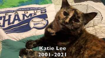 Free download KATIE LEE THROUGH THE YEARS video and edit with RedcoolMedia movie maker MovieStudio video editor online and AudioStudio audio editor onlin