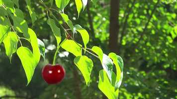 Free download K Comics video and edit with RedcoolMedia movie maker MovieStudio video editor online and AudioStudio audio editor onlin