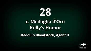 Free download KEESEP21_28_Kellys Humor 20 video and edit with RedcoolMedia movie maker MovieStudio video editor online and AudioStudio audio editor onlin
