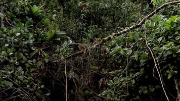 Free download Kelsey And Brendan Traveling Trainer Search video and edit with RedcoolMedia movie maker MovieStudio video editor online and AudioStudio audio editor onlin