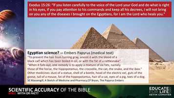 Free download Kevin Conover - 08 egypt science.mov video and edit with RedcoolMedia movie maker MovieStudio video editor online and AudioStudio audio editor onlin