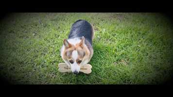 Free download Khong Quan Tam - Nathan Lee video and edit with RedcoolMedia movie maker MovieStudio video editor online and AudioStudio audio editor onlin