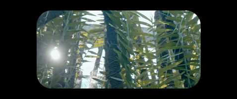 Free download KICHHI KHYANA music video video and edit with RedcoolMedia movie maker MovieStudio video editor online and AudioStudio audio editor onlin