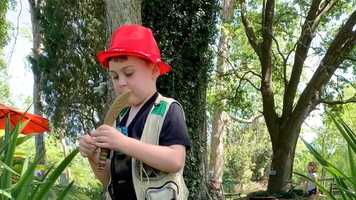 Free download Kid Explorer movie trailer video and edit with RedcoolMedia movie maker MovieStudio video editor online and AudioStudio audio editor onlin