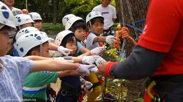 Free download Kids Treeclimbing Event in Tokyo Japan　東京日比谷公園ツリークライミングイベント！ video and edit with RedcoolMedia movie maker MovieStudio video editor online and AudioStudio audio editor onlin