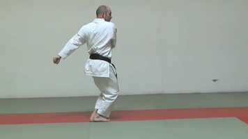 Free download Kihon Techniques 07 - Morote Uke video and edit with RedcoolMedia movie maker MovieStudio video editor online and AudioStudio audio editor onlin