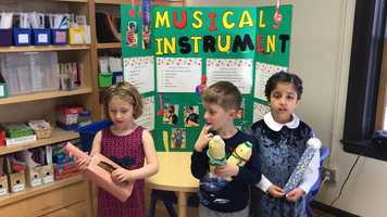 Free download Kindergarten Science Fair Project video and edit with RedcoolMedia movie maker MovieStudio video editor online and AudioStudio audio editor onlin