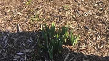 Free download Kindergarten week 1 science video and edit with RedcoolMedia movie maker MovieStudio video editor online and AudioStudio audio editor onlin