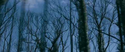 Free download Kindling. video and edit with RedcoolMedia movie maker MovieStudio video editor online and AudioStudio audio editor onlin