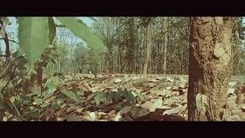 Free download KINNAR teaser video and edit with RedcoolMedia movie maker MovieStudio video editor online and AudioStudio audio editor onlin