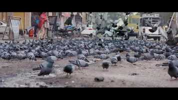 Free download Kirayenama 1080p Promo Trailer video and edit with RedcoolMedia movie maker MovieStudio video editor online and AudioStudio audio editor onlin