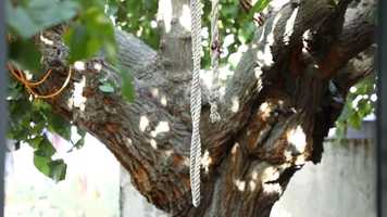 Free download Kiss me short film  official trailer video and edit with RedcoolMedia movie maker MovieStudio video editor online and AudioStudio audio editor onlin