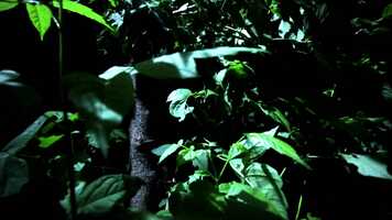 Free download K.L.B. - On Thin Ice (Music Video) video and edit with RedcoolMedia movie maker MovieStudio video editor online and AudioStudio audio editor onlin