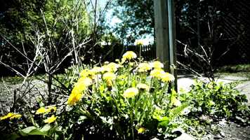 Free download K.L.B. - Progress (Music Video) video and edit with RedcoolMedia movie maker MovieStudio video editor online and AudioStudio audio editor onlin