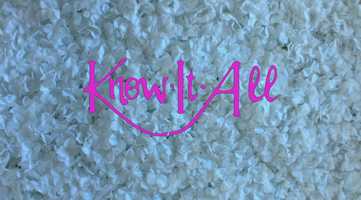 Free download Know-It-All Trailer video and edit with RedcoolMedia movie maker MovieStudio video editor online and AudioStudio audio editor onlin
