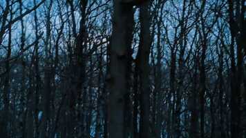 Free download KOGA - Brand Movie video and edit with RedcoolMedia movie maker MovieStudio video editor online and AudioStudio audio editor onlin